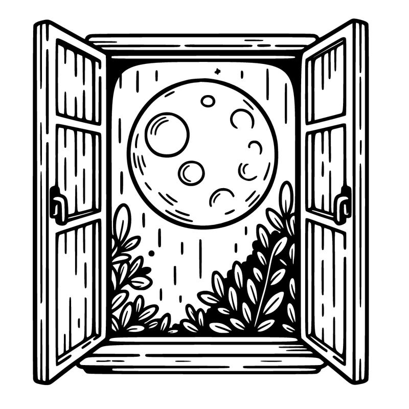 moon through window