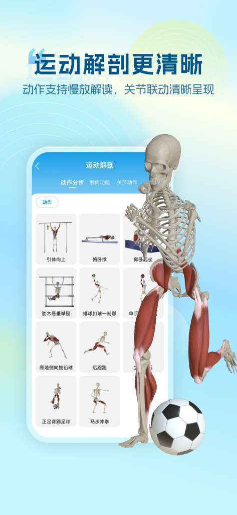 Un modelo anatómico 3D que muestra un esqueleto con músculos resaltados realizando varios movimientos deportivos como fútbol, dominadas y flexiones.