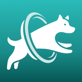 DogPack: Dog Friendly Spots