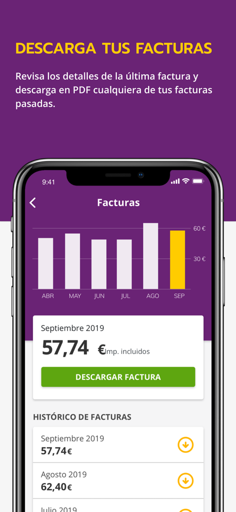 Interface of the Llamaya mobile app displaying a monthly billing chart and a button to download invoices in PDF