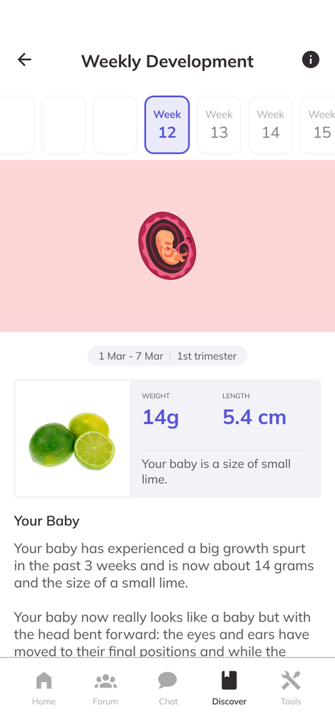 EVE maternity app showing fetal development at week 12 with a size comparison to a small lime