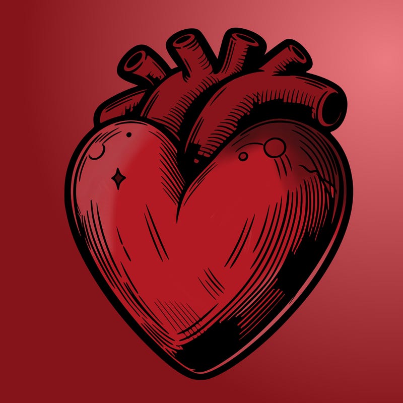 realistic heart