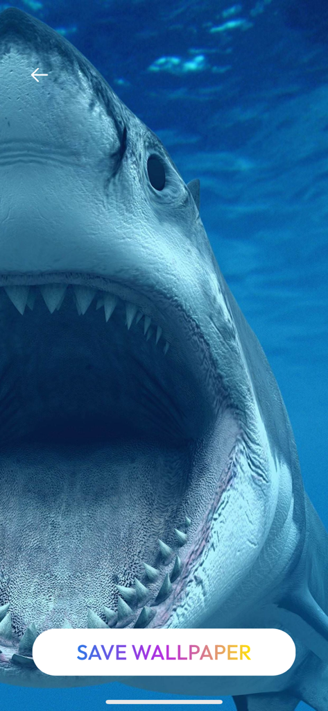 Live Wallpaper Maker - Themes - Great white shark with open mouth underwater live wallpaper