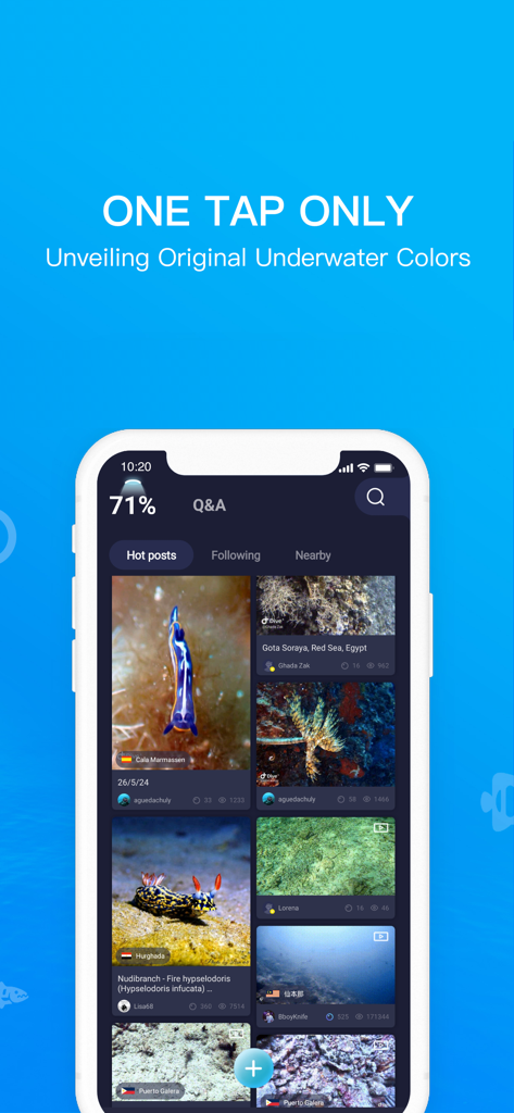 Dive plus app interface showing a feed of color corrected underwater photos
