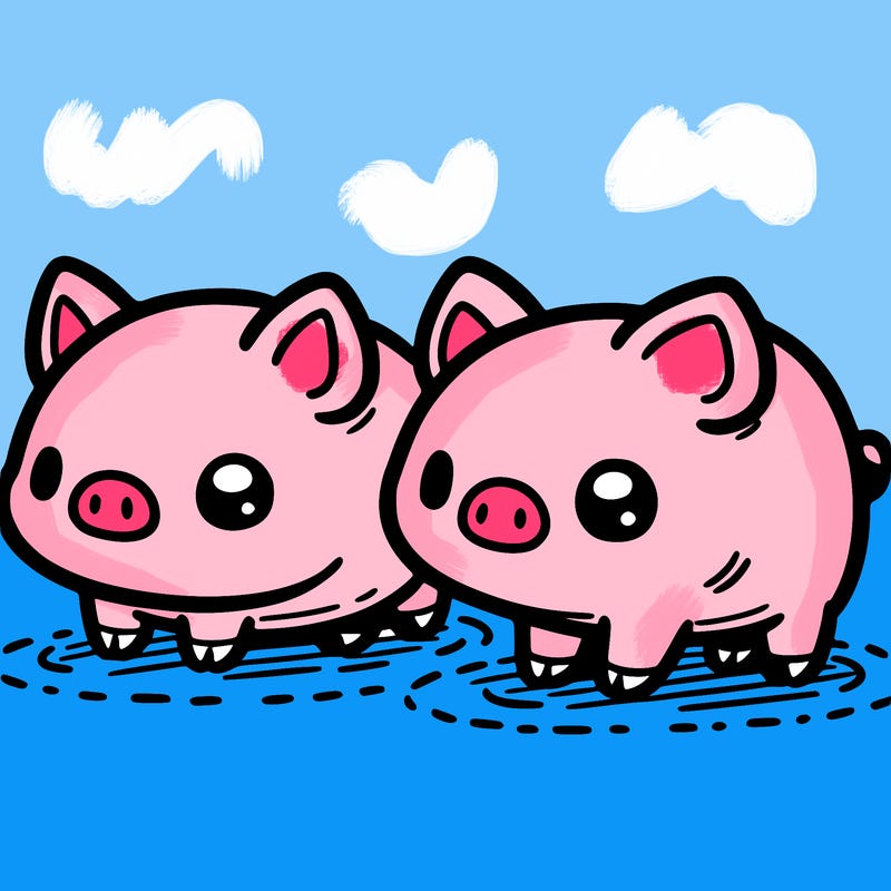 tiny pigs