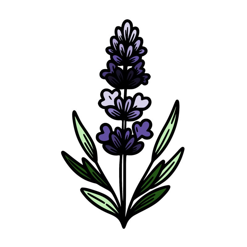 lavender flower