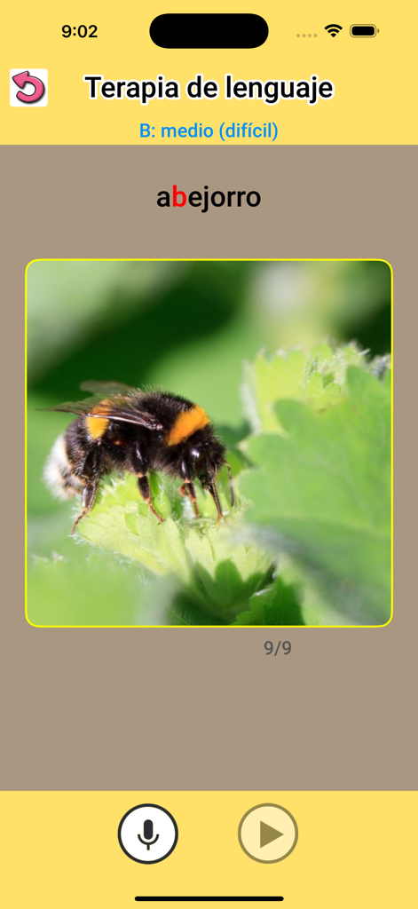 Terapia de lenguaje ejercicios - Spanish speech therapy app displaying the word abejorro with a bumblebee photo and recording tools