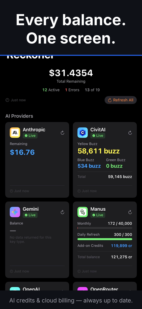 Reckoner App - Reckoner app dashboard showing various AI credit balances and total cloud billing on one screen