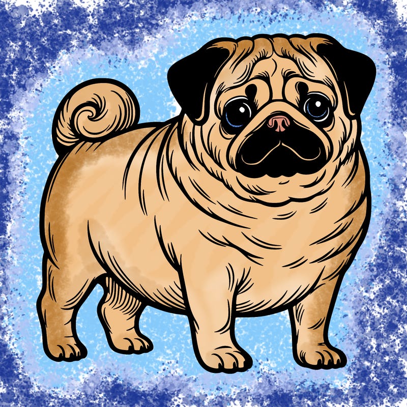 pug