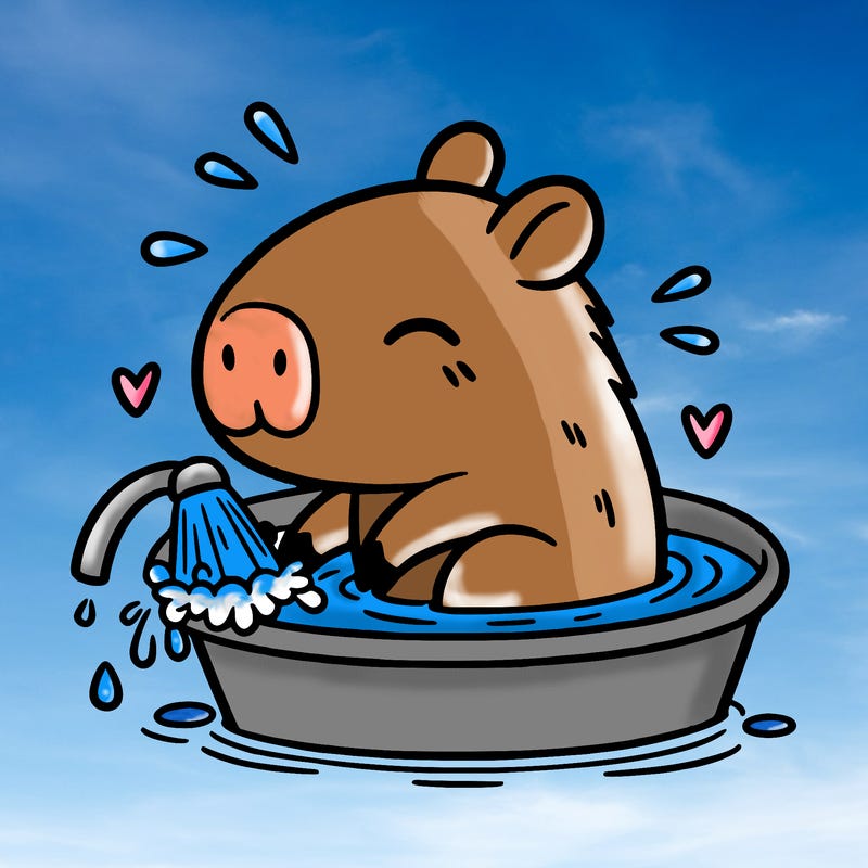 capybara taking a bath