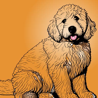 realistic dog golden doodle