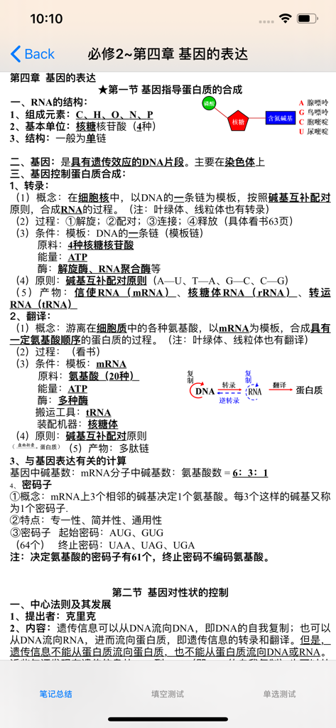 高中生物总结大全 - Detailed study notes in Chinese about gene expression and protein synthesis with scientific diagrams