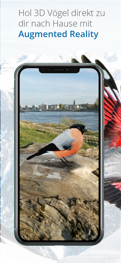 Vogelführer Birdlife Schweiz - Birdlife Switzerlandモバイルアプリでの鳥の3Dモデルの拡張現実ビュー