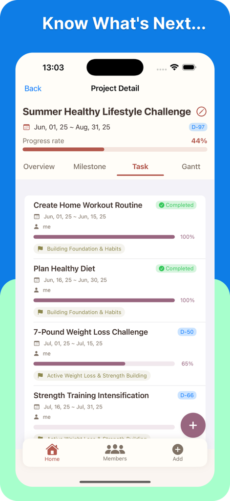 Project RoadMap - Oberfläche der Project RoadMap App, die eine detaillierte Aufgabenliste mit Fortschrittsbalken und Fertigstellungsstatus für ein Lifestyle-Projekt anzeigt