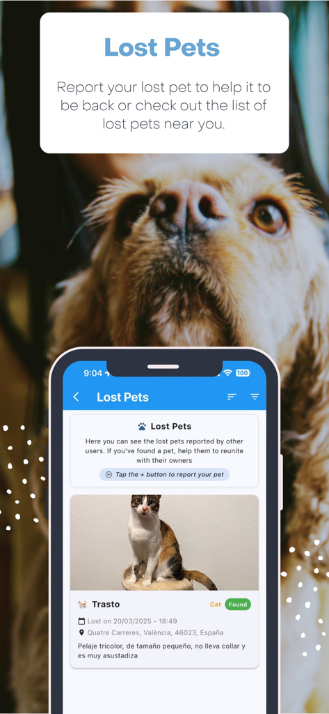 Furtrace - Furtrace mobile app screen showing lost pet listings and reporting options