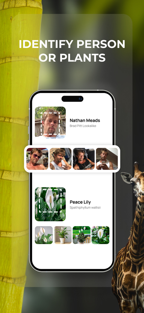 Interface of Lens app identifying a person and a peace lily plant using visual recognition technology