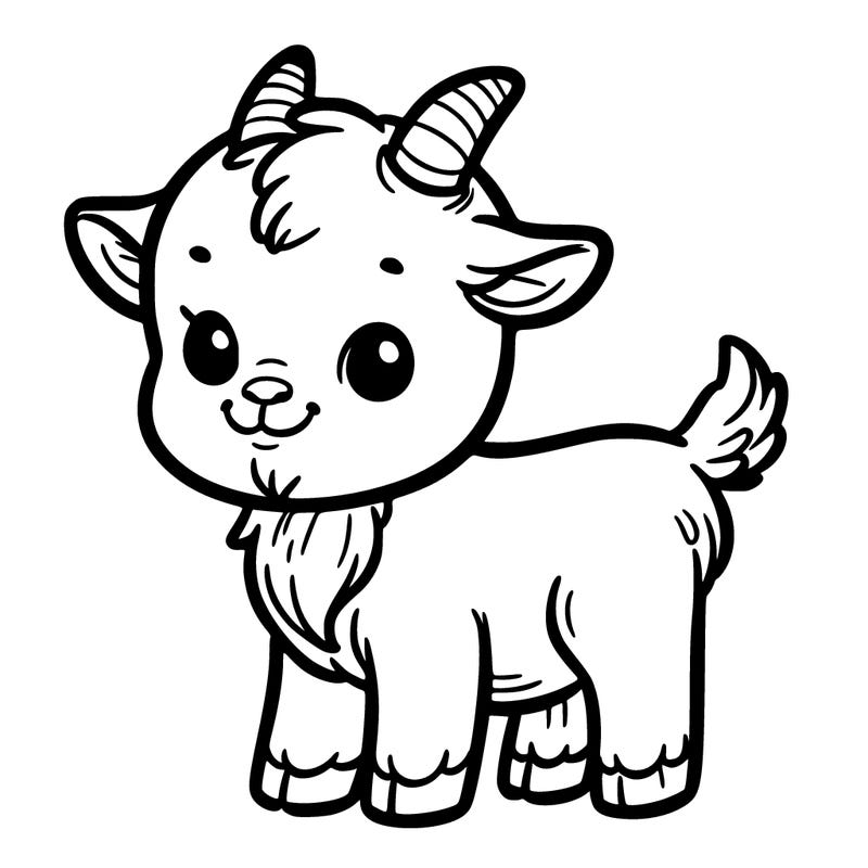 baby goat