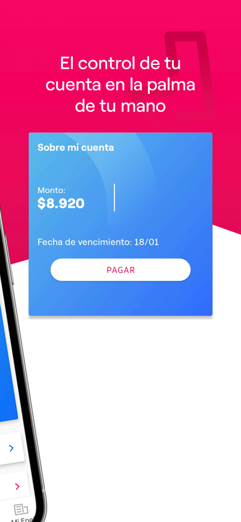 Enel Clientes Chile mobile app interface showing electricity bill payment details