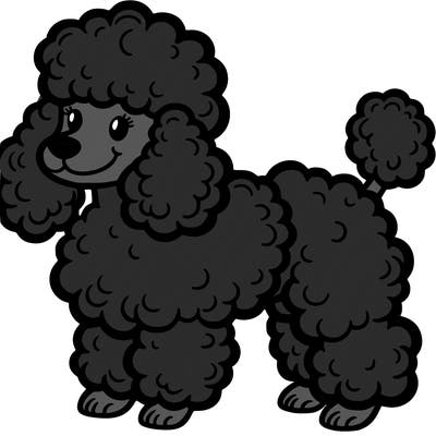 poodle dog