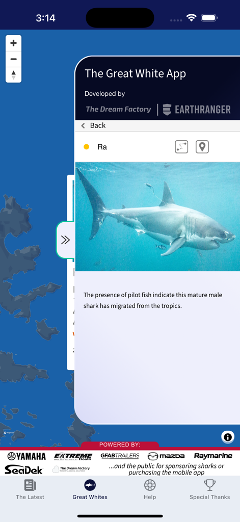The Great White App - ラという名前のサメのプロフィールを示すグレートホワイトアプリのスクリーンショット。写真と移動に関する説明文が含まれています。