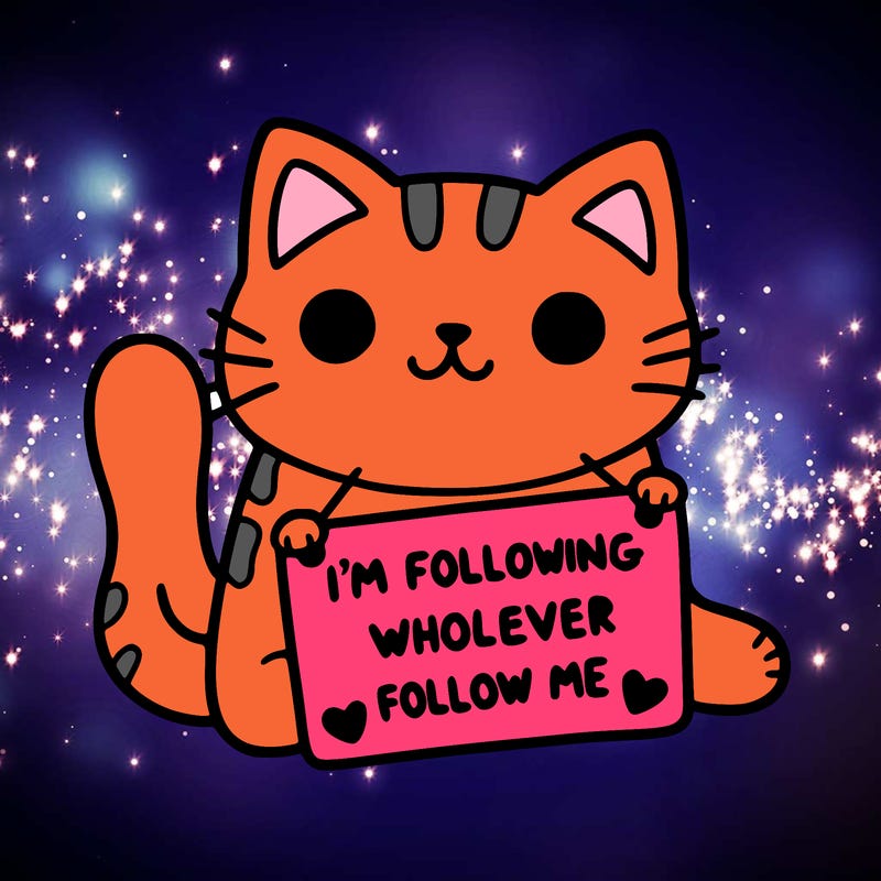 cat with a sign that says i’m following whoever follows me