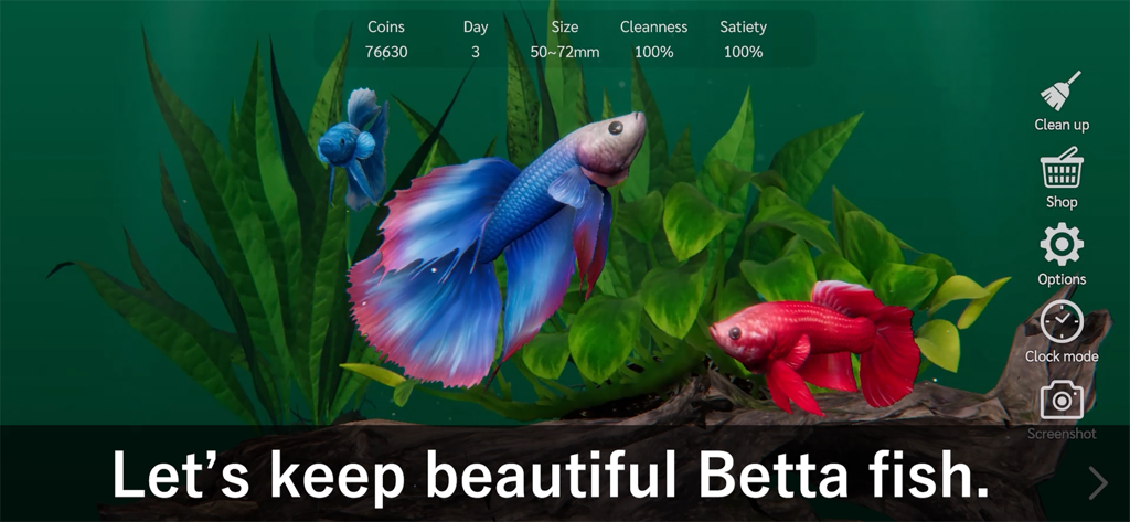 Bettarium - Betta Fish Tank - Three colorful Betta fish swimming in a virtual aquarium with plants and status indicators