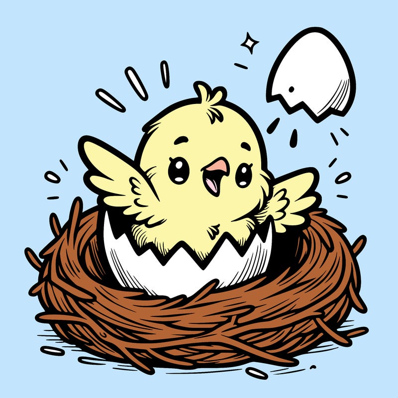 a baby chick hatching from an egg in a nest