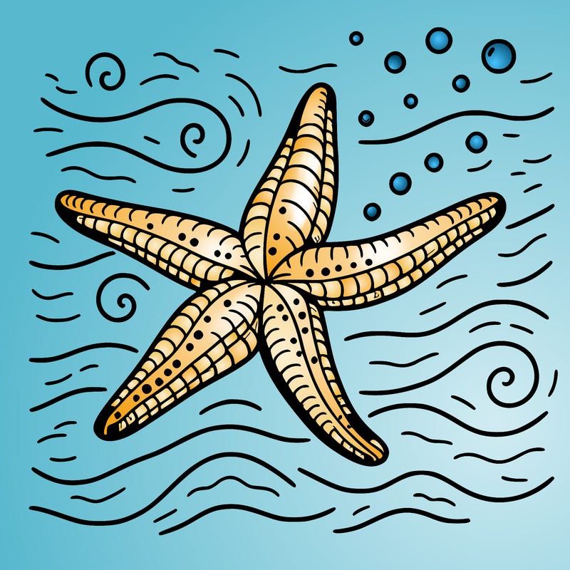 flying starfish
