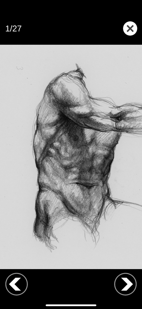 Schizzo a matita dettagliato di un torso maschile muscoloso per riferimento anatomico