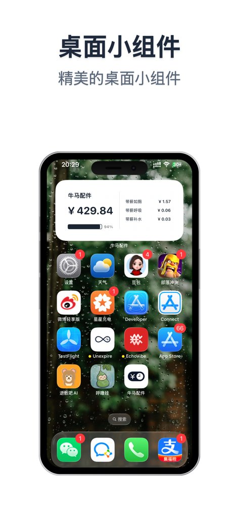 牛马配件 - A home screen widget for the Workhorse Accessories app showing real-time earnings and paid break costs on an iPhone.