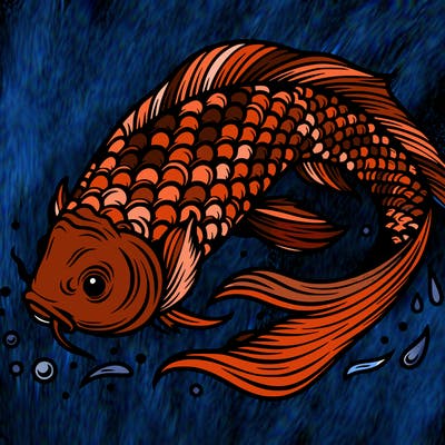 beautiful koi fish