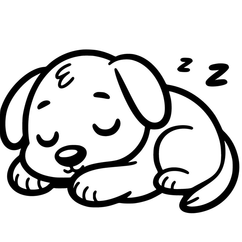 a dog that sleeping