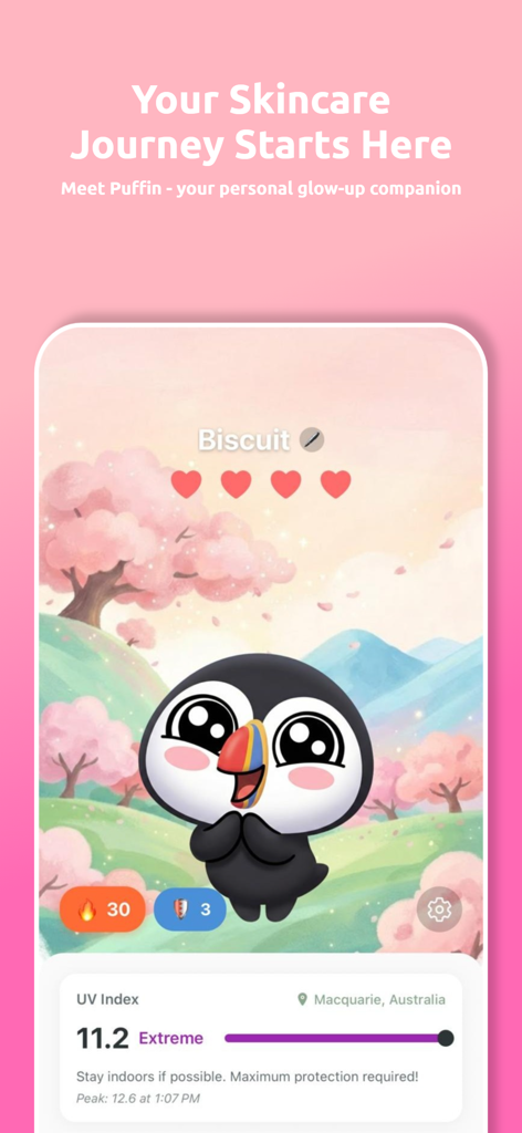 Puffin: Acne Tracker - Puffin Akne-Tracker Dashboard mit Hautpflege-Begleiter und UV-Index-Informationen