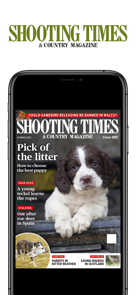 Ein Smartphone zeigt die Titelseite der Shooting Times and Country Magazine mit einem Welpen.