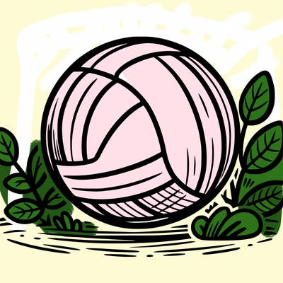 volleyball