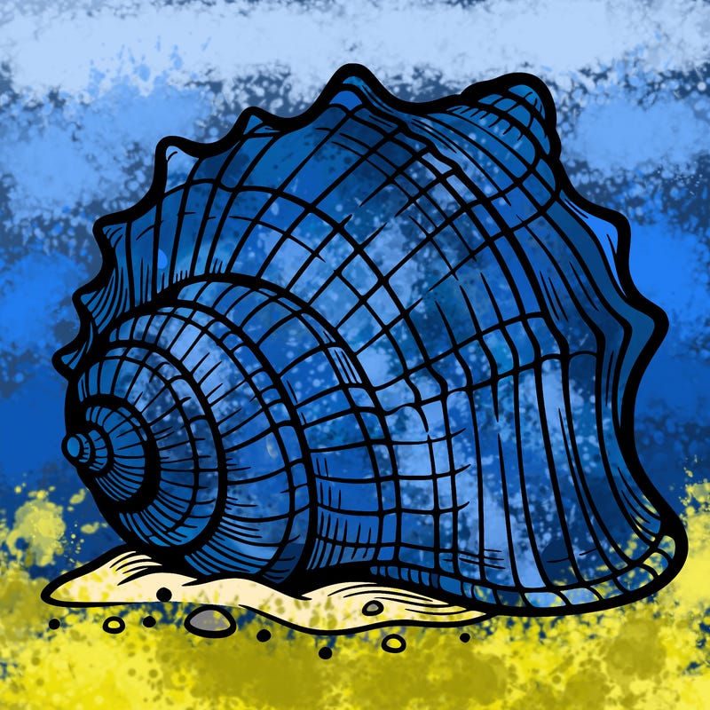 sea shell