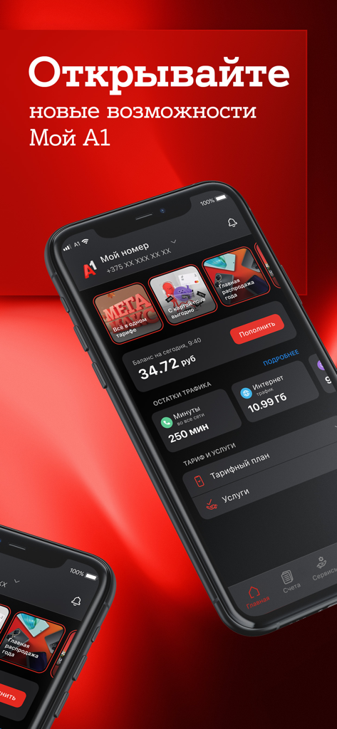 My A1 mobile app dashboard displaying account balance and data usage on a smartphone screen
