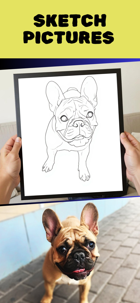 Uma foto de cachorro transformada em um esboço em desenho linear em preto e branco