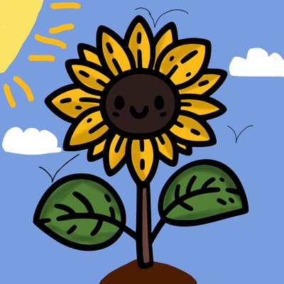 sunflower