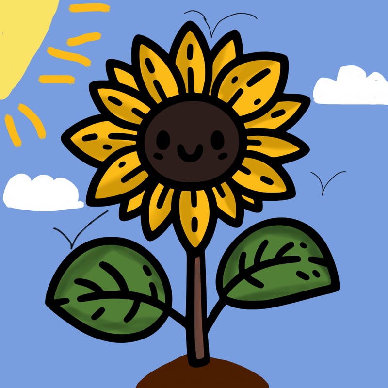 sunflower