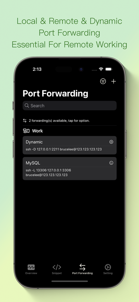 ShellBeanアプリのインターフェース。リモートサーバー管理のためのSSHポートフォワーディング構成を表示しています。