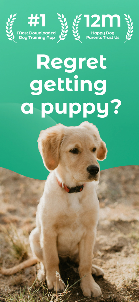 Pantalla de la aplicación Dogo con un cachorro de golden retriever con el texto '¿Te arrepientes de haber tenido un cachorro?' e insignias de confianza