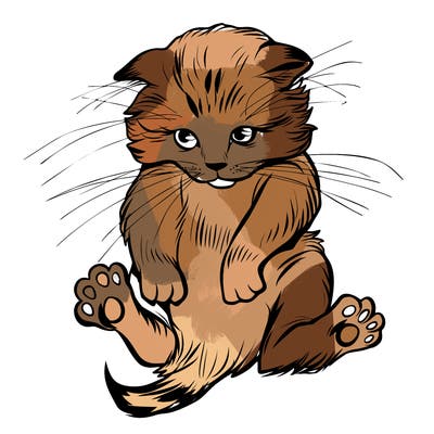 animals_20