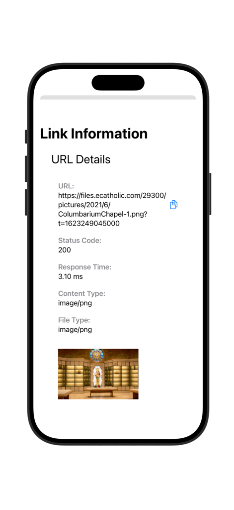 Mobile app screen showing detailed link information and image validation results including status code and response time