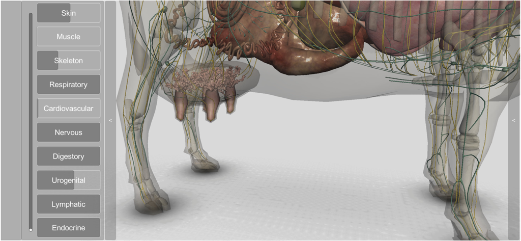 Um modelo de anatomia bovina 3D mostrando os sistemas nervoso e digestório internos com um menu interativo de seleção de camadas.
