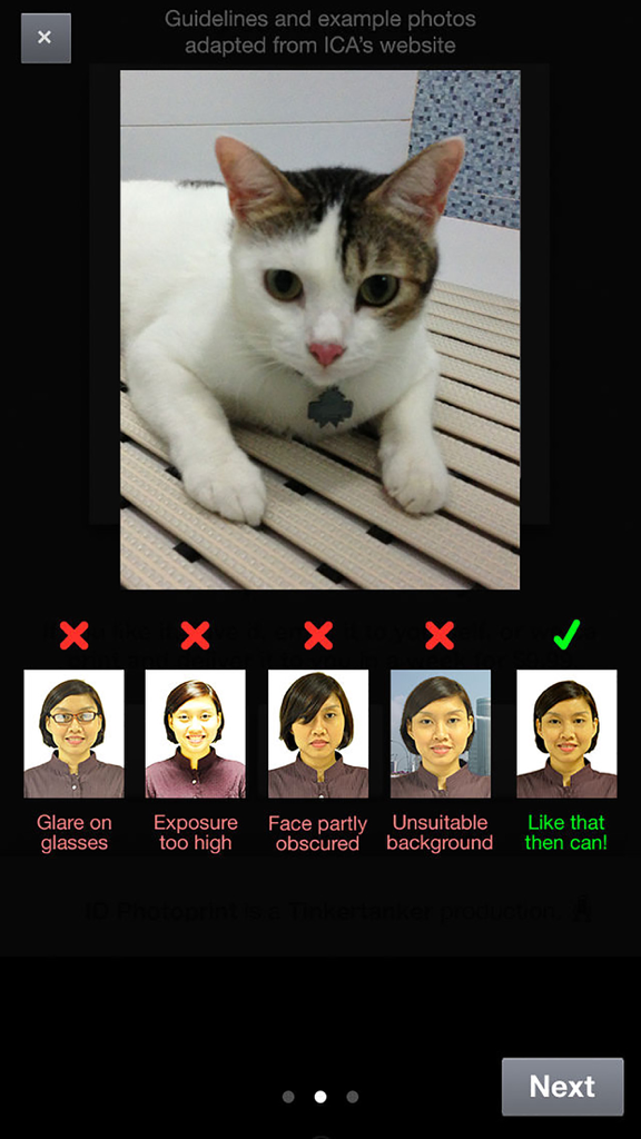 IC Photo Singapore - Examples of correct and incorrect ID photos based on ICA guidelines