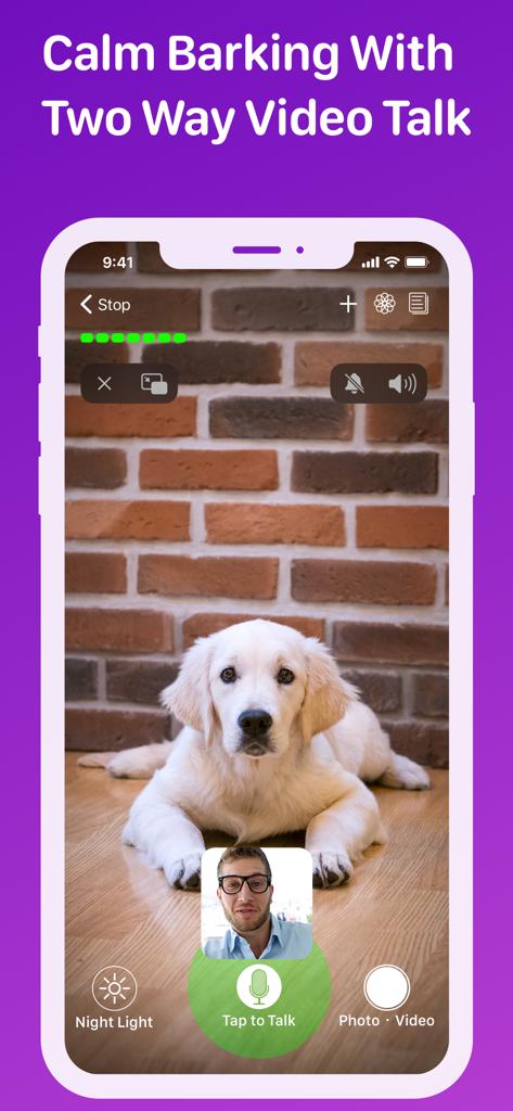Pet Monitor VIGI - Pet Monitor VIGI app interface showing a two-way video call with a puppy