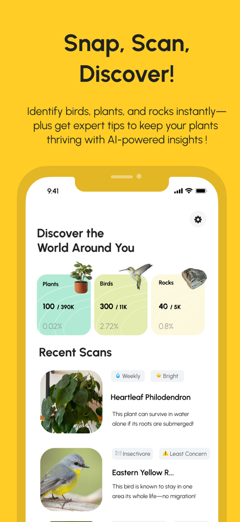 TerraScan: AI companion - Pantalla de inicio de la aplicación TerraScan mostrando categorías de identificación para plantas, aves y rocas con resultados de escaneo recientes.
