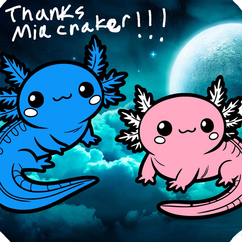 cute axolotls