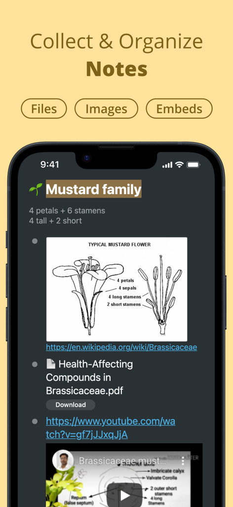 画像ファイルやビデオ埋め込みで整理されたノートを示すWorkFlowyアプリのインターフェース